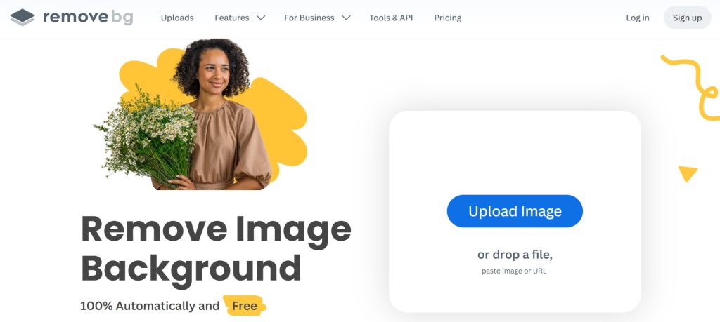BgRemover online background removal tool – free AI tool with no login