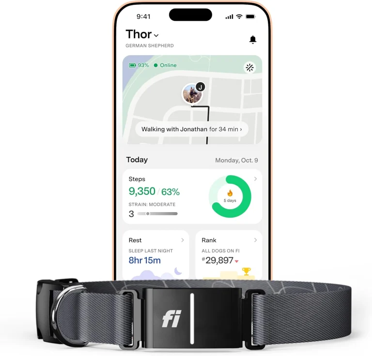 Fi Series 3 smart dog collar with AI GPS tracking and escape alerts – best AI pet gadget 2025